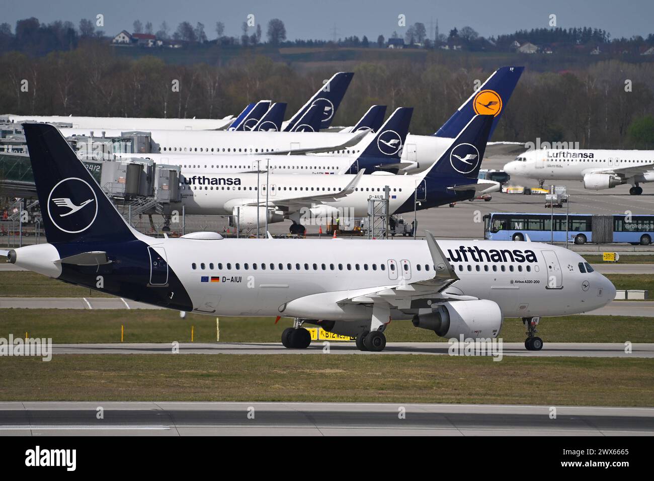 Airbus A 320-200.Lufthansa Passagier Jets am Franz Josef Strauss Flughafen in Muenchen.Monaco di Baviera. *** Airbus A 320 200 Lufthansa jet passeggeri presso l'aeroporto Franz Josef Strauss di Monaco di Baviera Foto Stock