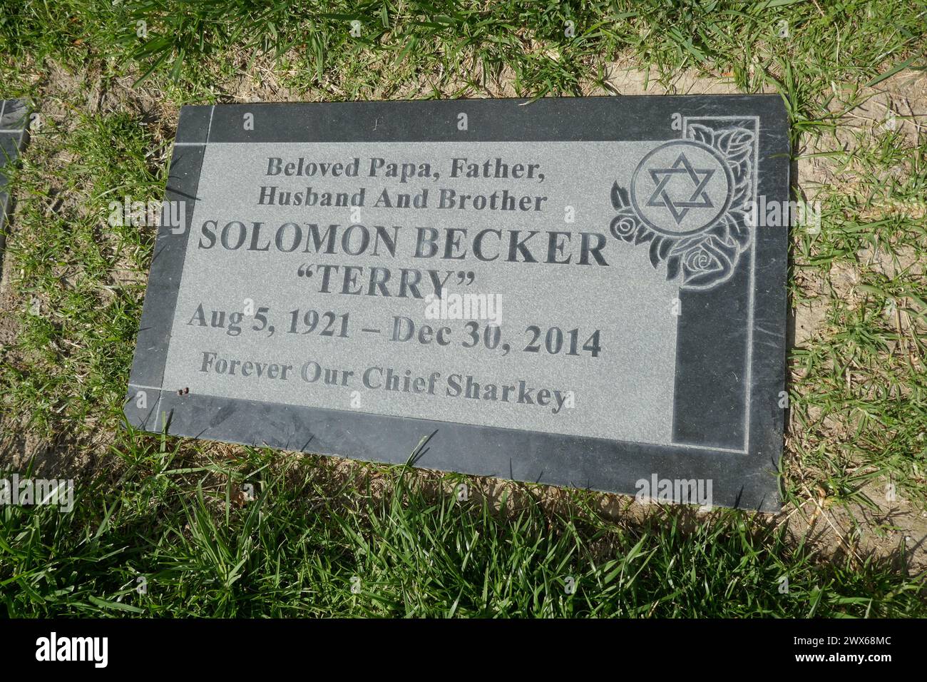 Mission Hills, California, USA 26 marzo 2024 attore/regista/produttore Terry Becker grave all'Eden Memorial Park il 26 marzo 2024 a Mission Hills, California, USA. Ha lavorato a Voyage to the Bottom of the Sea, The Mod Squad, Mission Impossible, MASH, Bonanza, Perry Mason, Gunsmoke e molti altri. Foto di Barry King/Alamy Stock Photo Foto Stock