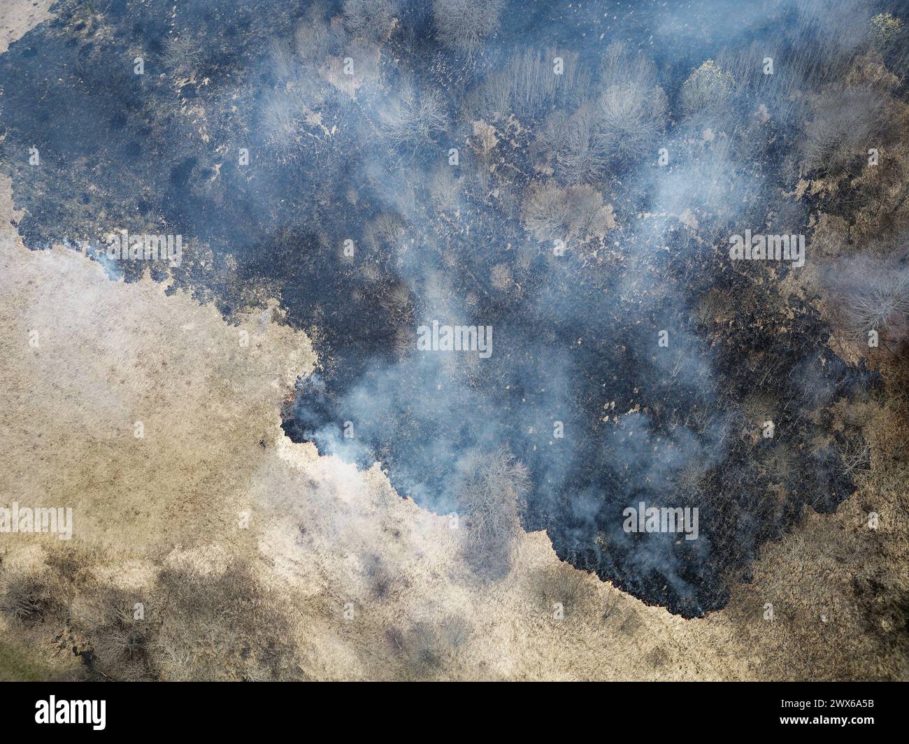 Campo di combustione. Fuoco selvaggio tra le montagne. Incendio boschivo. Foto Stock
