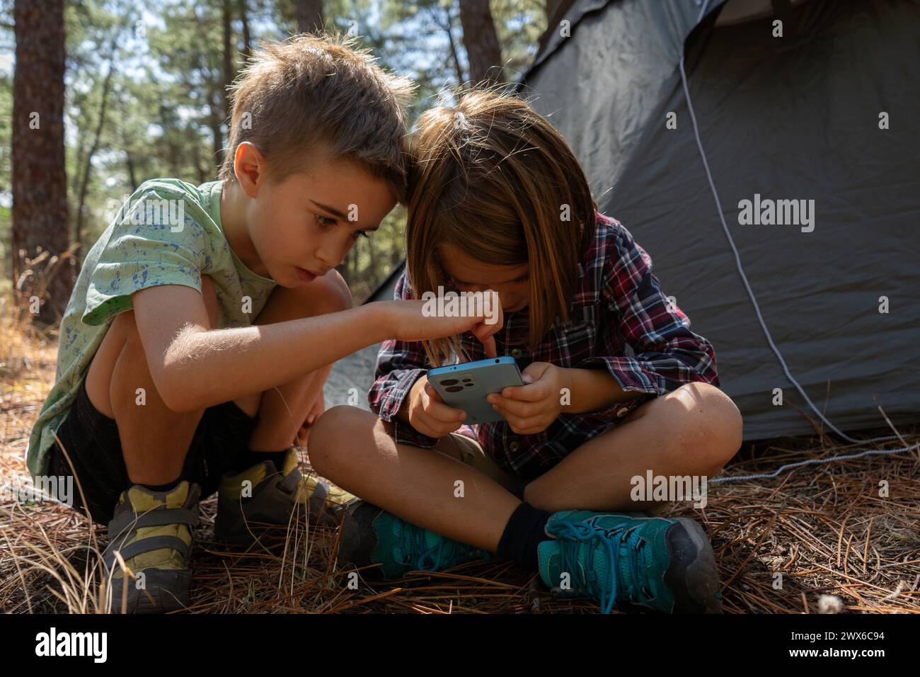 Bambini che guardano i cellulari insieme nella foresta Foto Stock