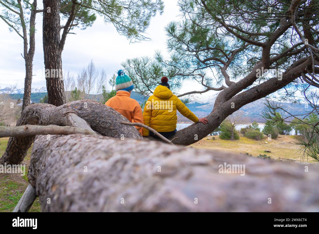 Bambini seduti con la schiena su un ramo d'albero in abiti caldi Foto Stock