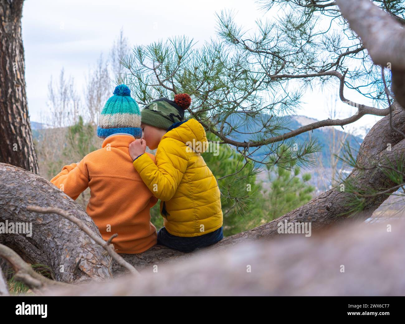 Bambini che giocano insieme seduti su un ramo d'albero in natura Foto Stock