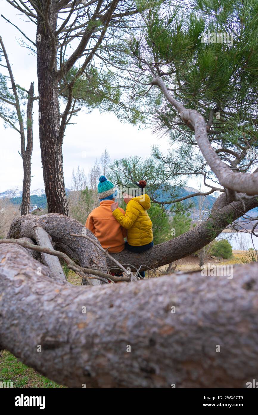 Bambini seduti su un ramo di pino nella foresta con abiti caldi Foto Stock