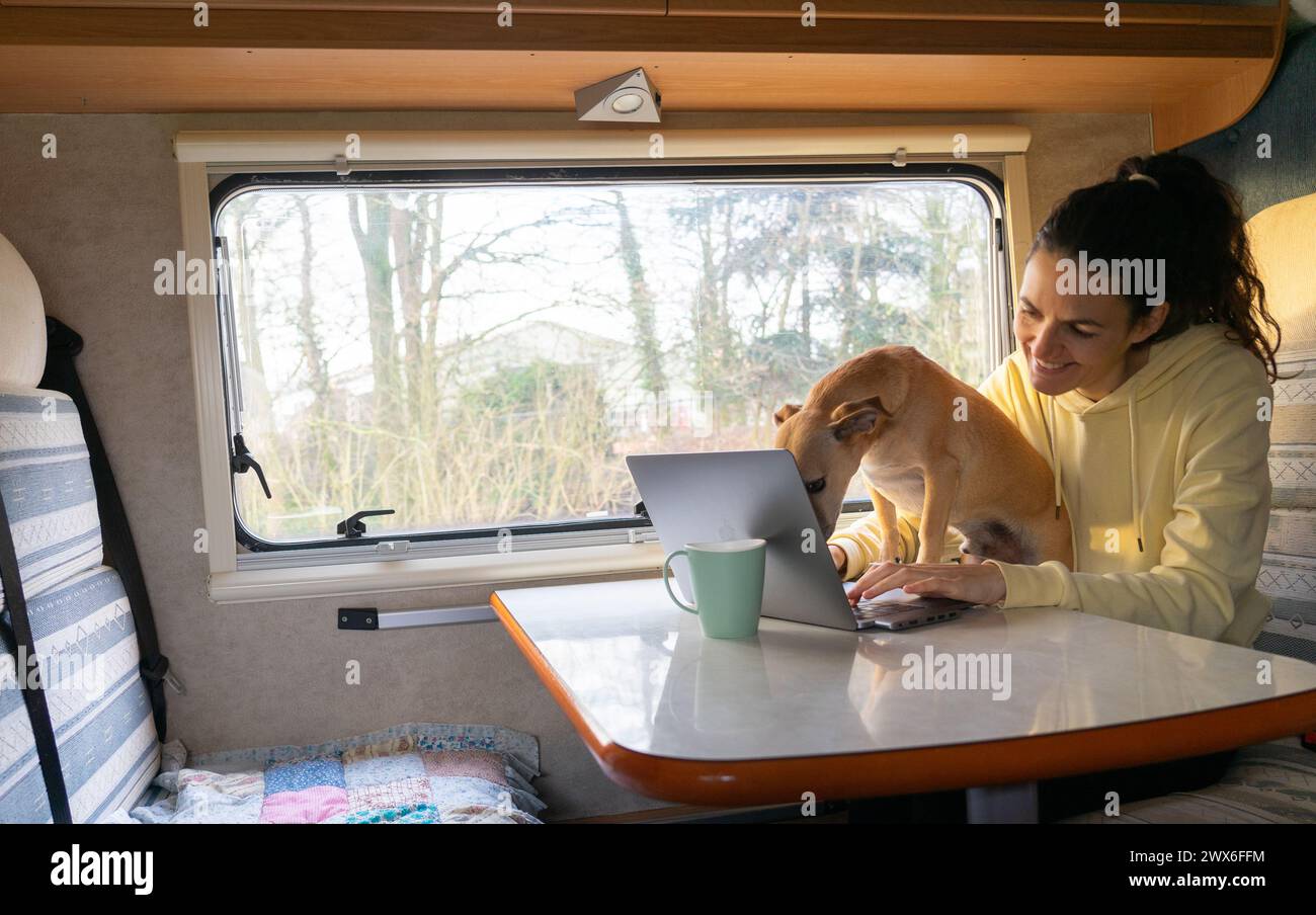 Donna che telelavora in una carovana con il suo cane Foto Stock