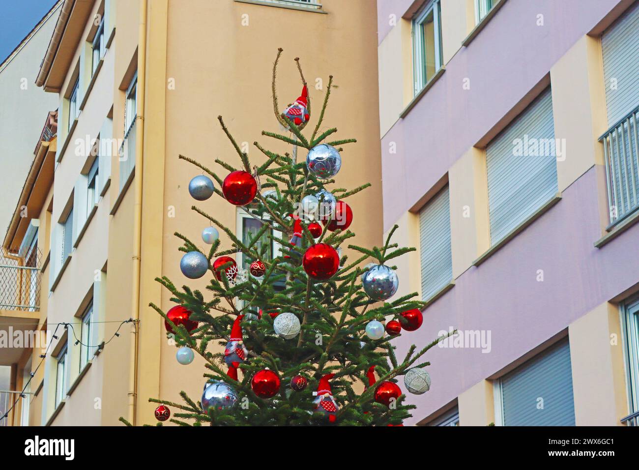 Albero di Natale a Colmar, Francia Foto Stock