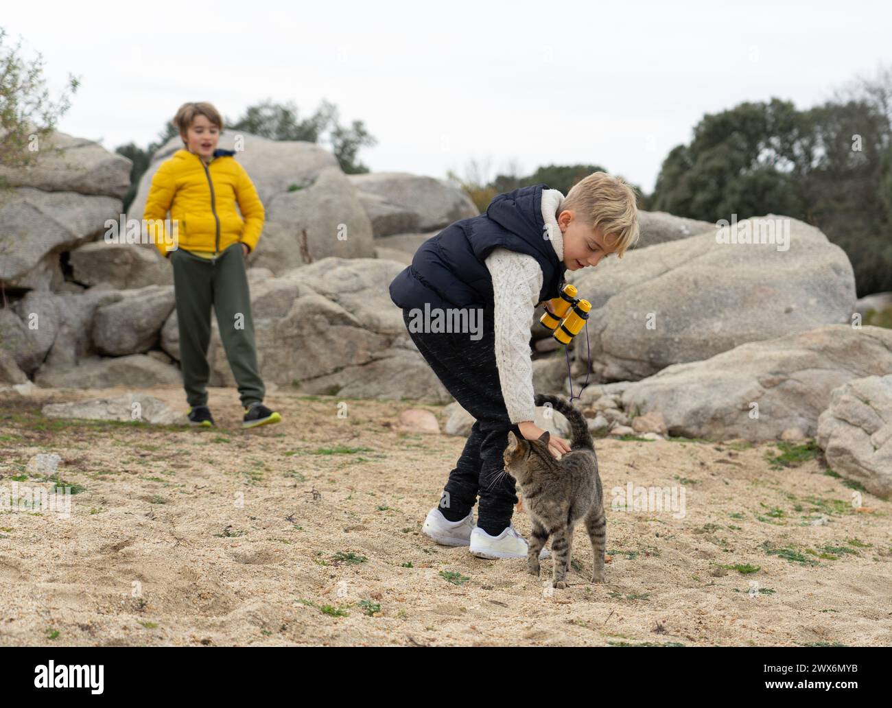 Bambini che giocano sul campo con il loro gatto Foto Stock