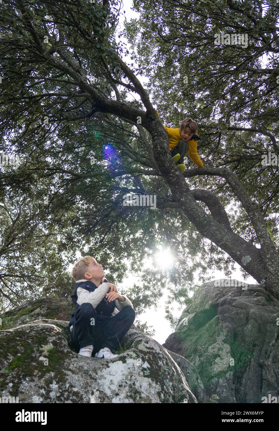 Bambini che giocano su un albero. Un bambino su un albero e un altro lo guarda dal basso. Gioca nella natura Foto Stock