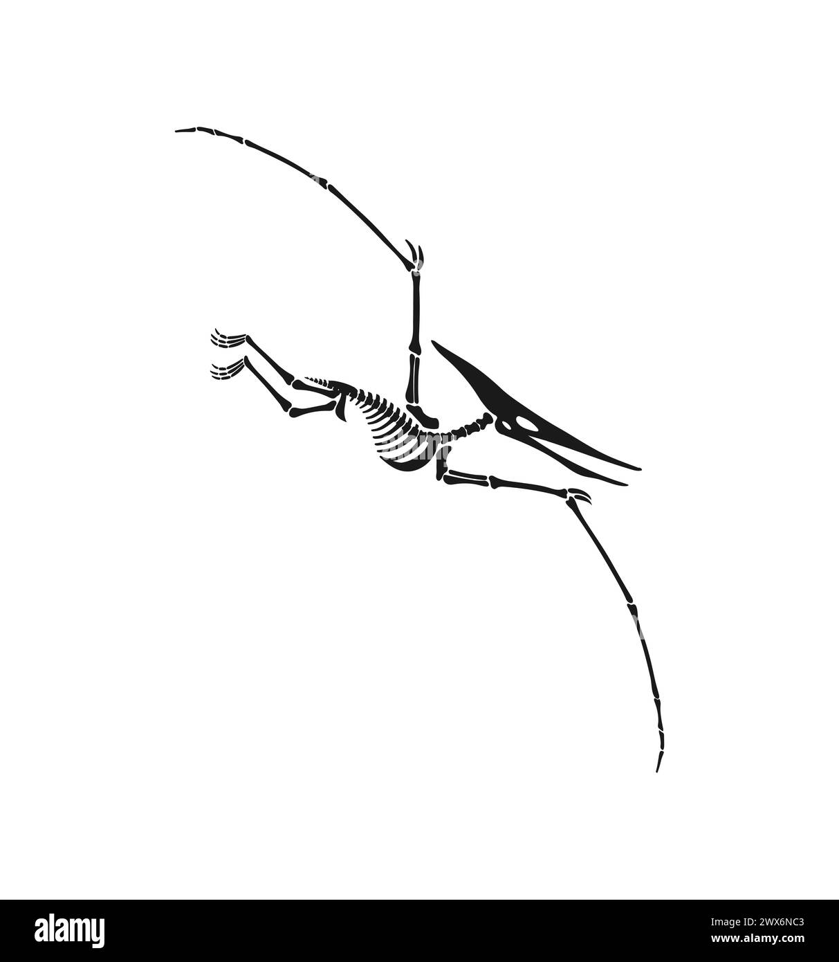 Fossili di scheletro di dinosauro di Pterodactylus o ossa dino giurassiche, vettore isolato. Archeologia dell'uccello di dinosauro o dei rettili degli pterosauri scheletri fossili di lucertola volante estinta o Pterodactylus dino Illustrazione Vettoriale Fossili di scheletro di dinosauro di Pterodactylus o ossa dino giurassiche, vettore isolato. Archeologia dell'uccello di dinosauro o dei rettili degli pterosauri scheletri fossili di lucertola volante estinta o Pterodactylus dino Illustrazione Vettoriale