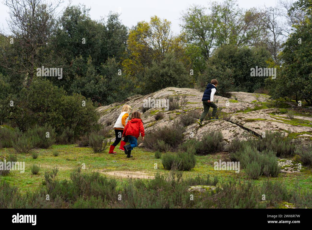 Tre bambini giocano gratis in natura Foto Stock