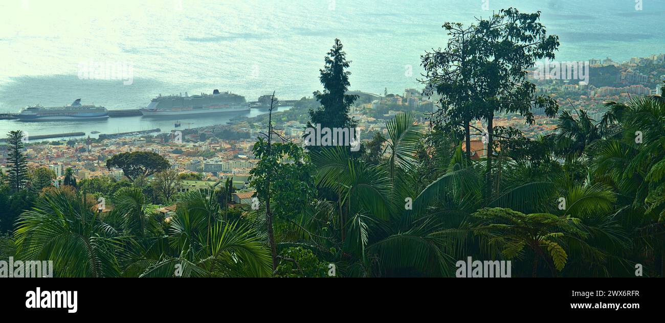 Una vista di Funchal dai giardini botanici di Madeira Foto Stock