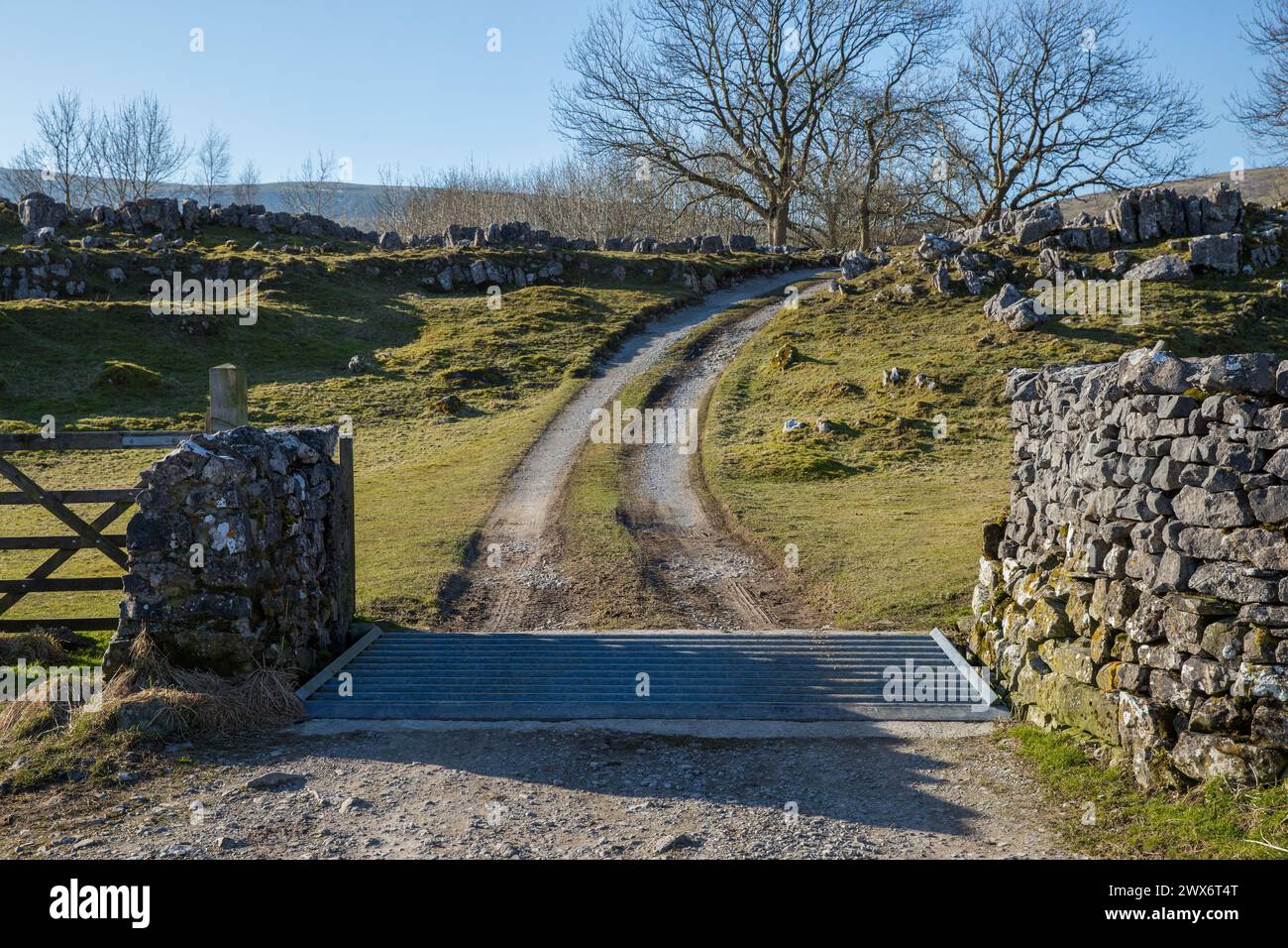 Una rete di bestiame e una strada agricola sterrata nella campagna del North Yorkshire che conduce in lontananza con muretti a secco, marciapiedi calcarei, alberi e colline Foto Stock