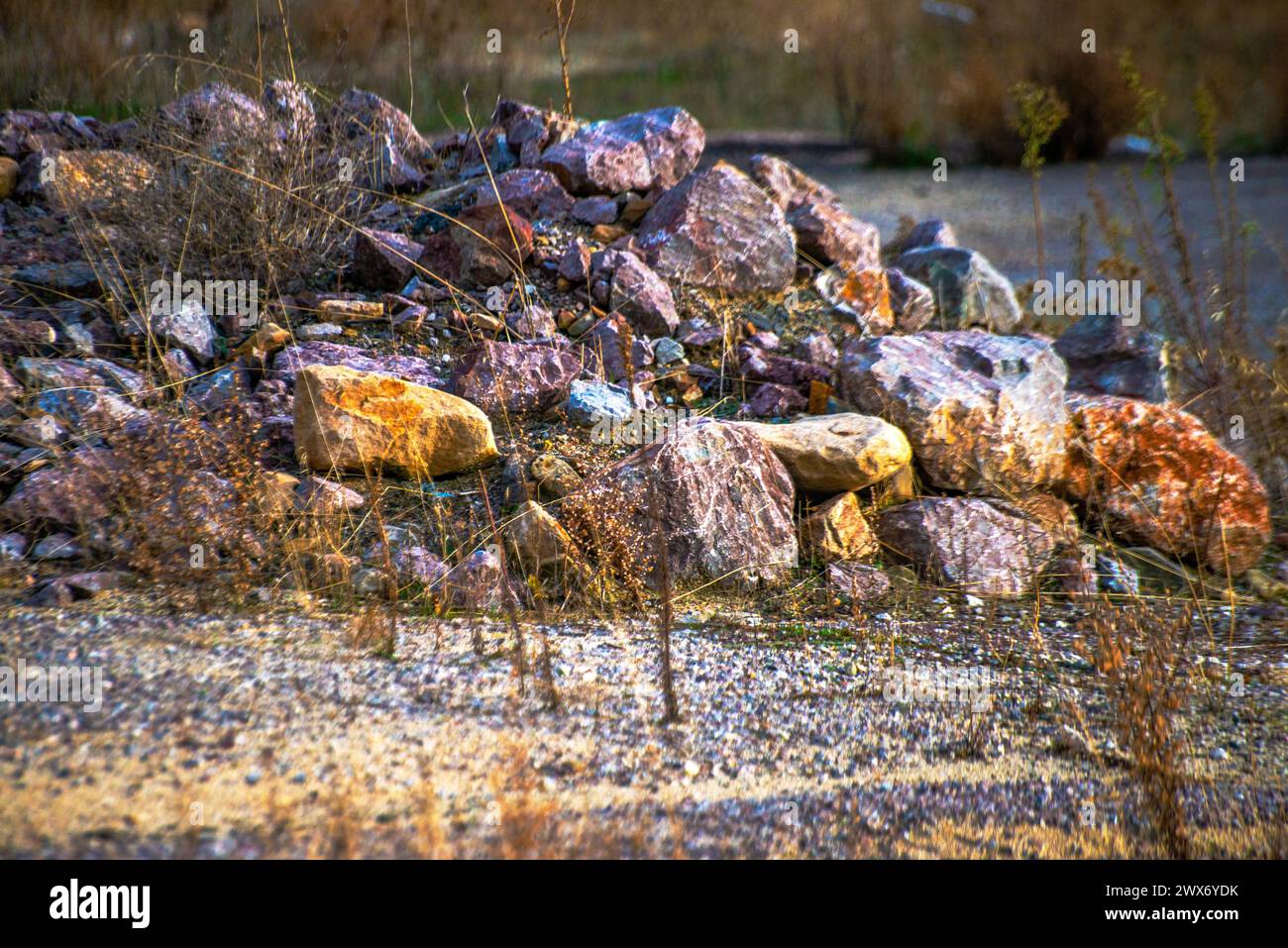 L'arte della natura si rivela in pile di roccia bilanciate sul terreno, creando una sistemazione serena e armoniosa in mezzo al paesaggio all'aperto. Foto Stock