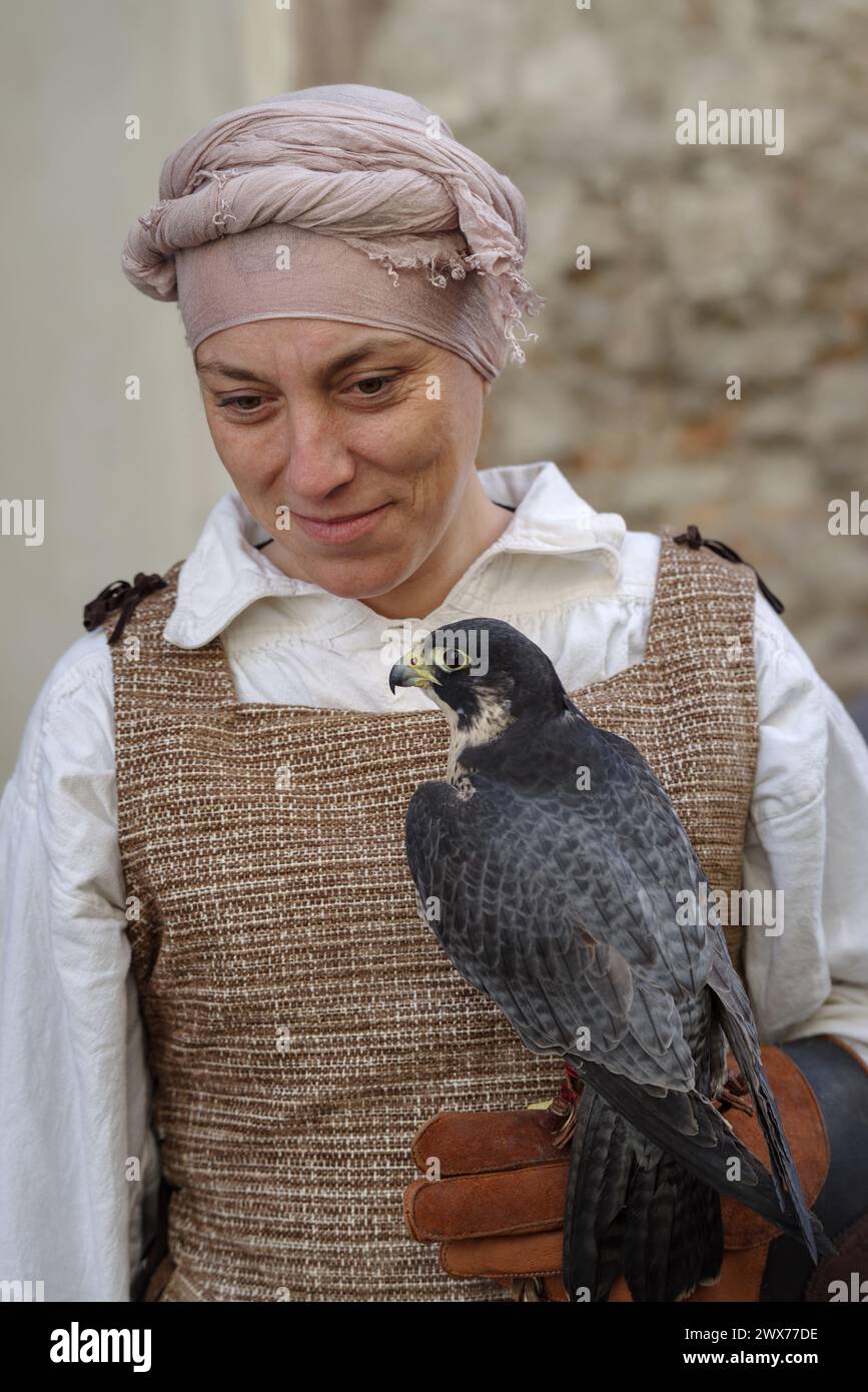 Mostra di falconeria al festival con vari rapaci Taggia, regione Liguria, Italia Foto Stock