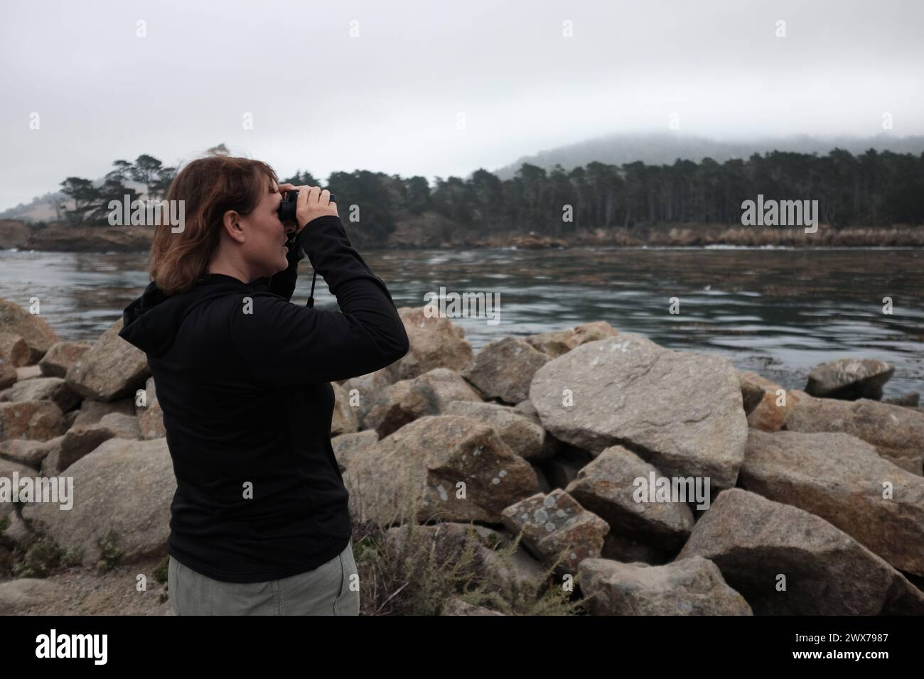 Una donna di mezza età che guarda la natura alla riserva naturale Point Lobos in California Foto Stock
