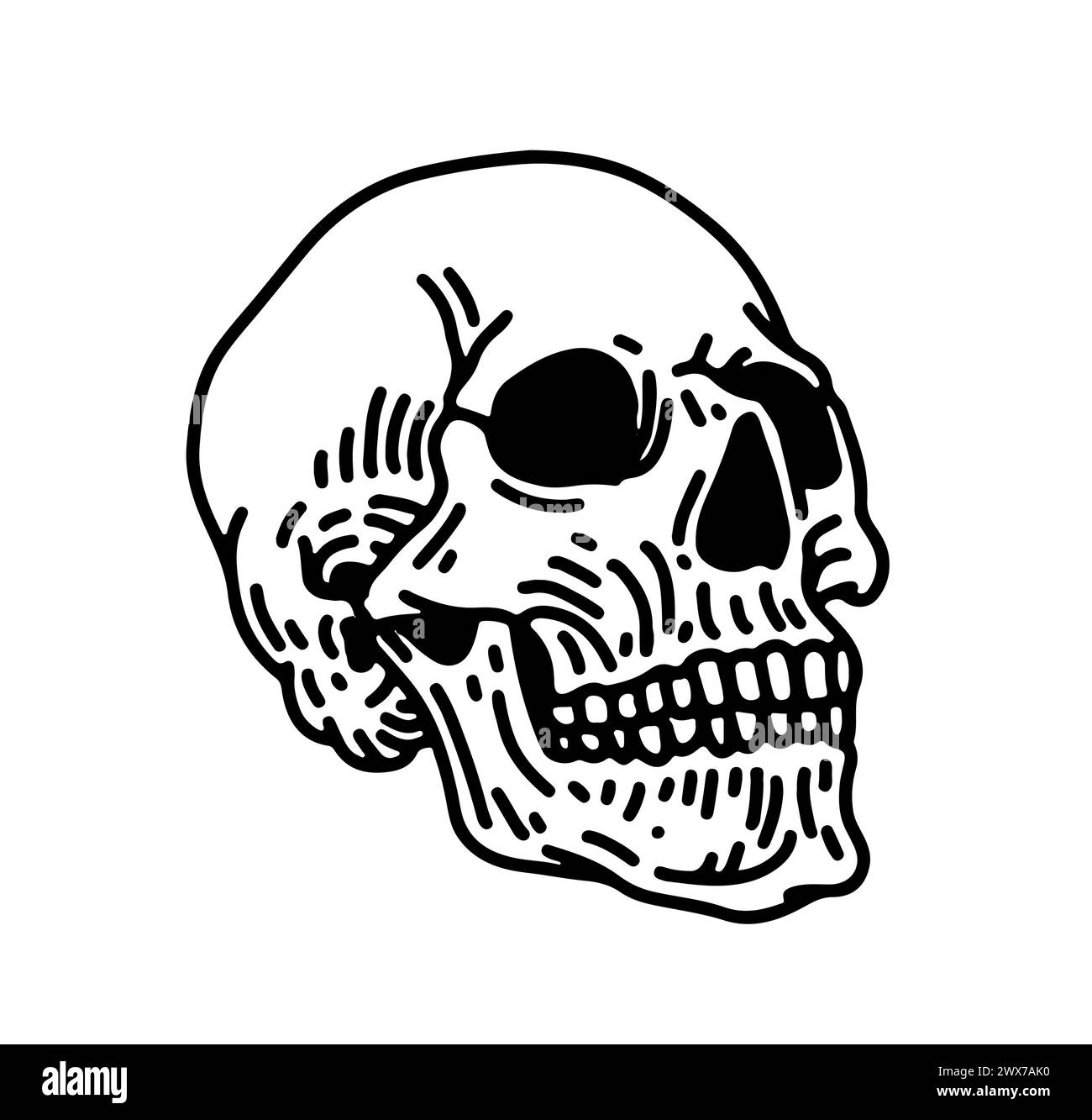 Cranio umano vettoriale con mandibola inferiore in stile incisione vintage. Isolamento delle illustrazioni in stile retrò disegnate a mano su sfondo bianco. Illustrazione Vettoriale