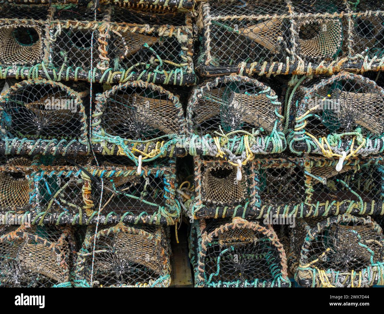 Pila di aragosta e attività di pesca del granchio pot gabbie cantre, St. Ives, Cornwall, Regno Unito Foto Stock