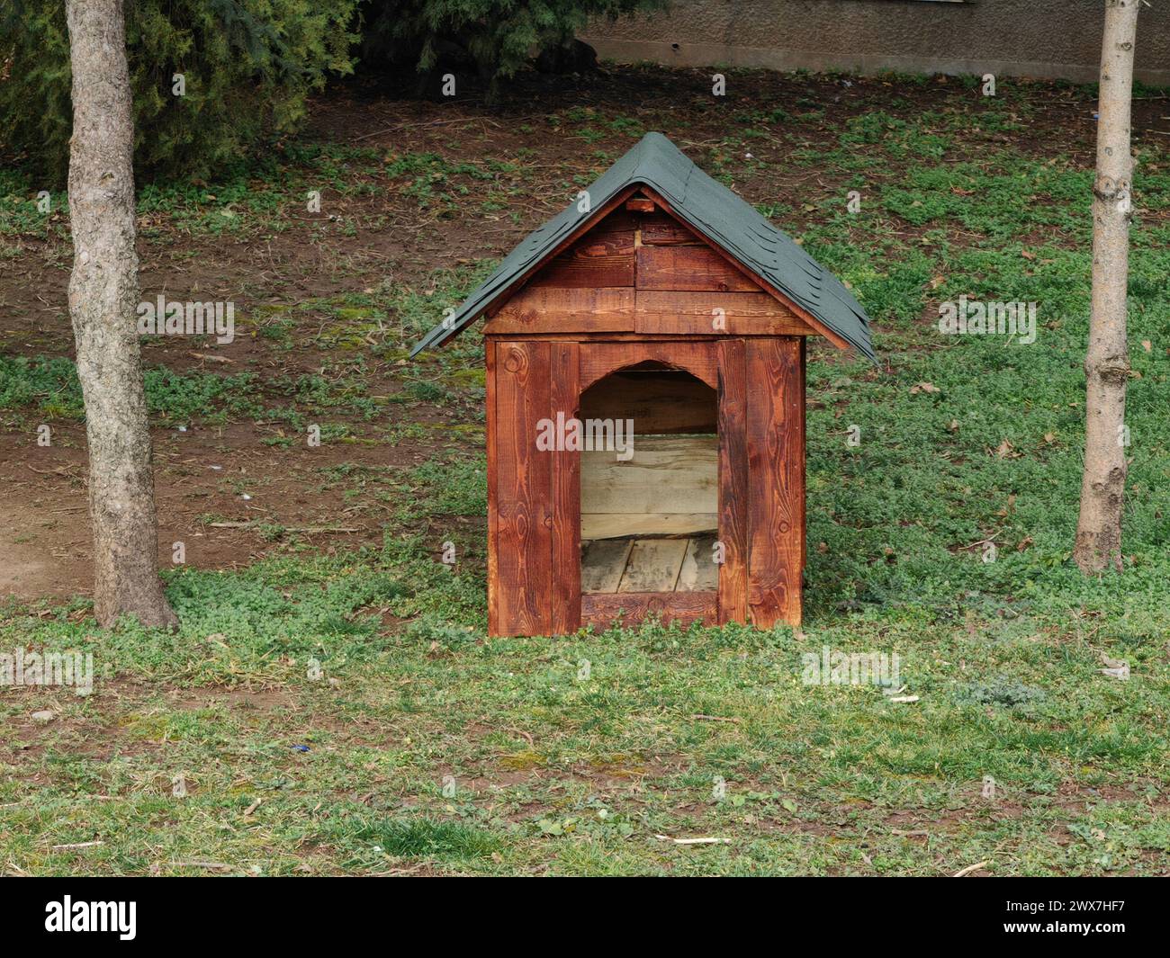 Santuario solo. Cuccia per cani nel parco. Foto Stock