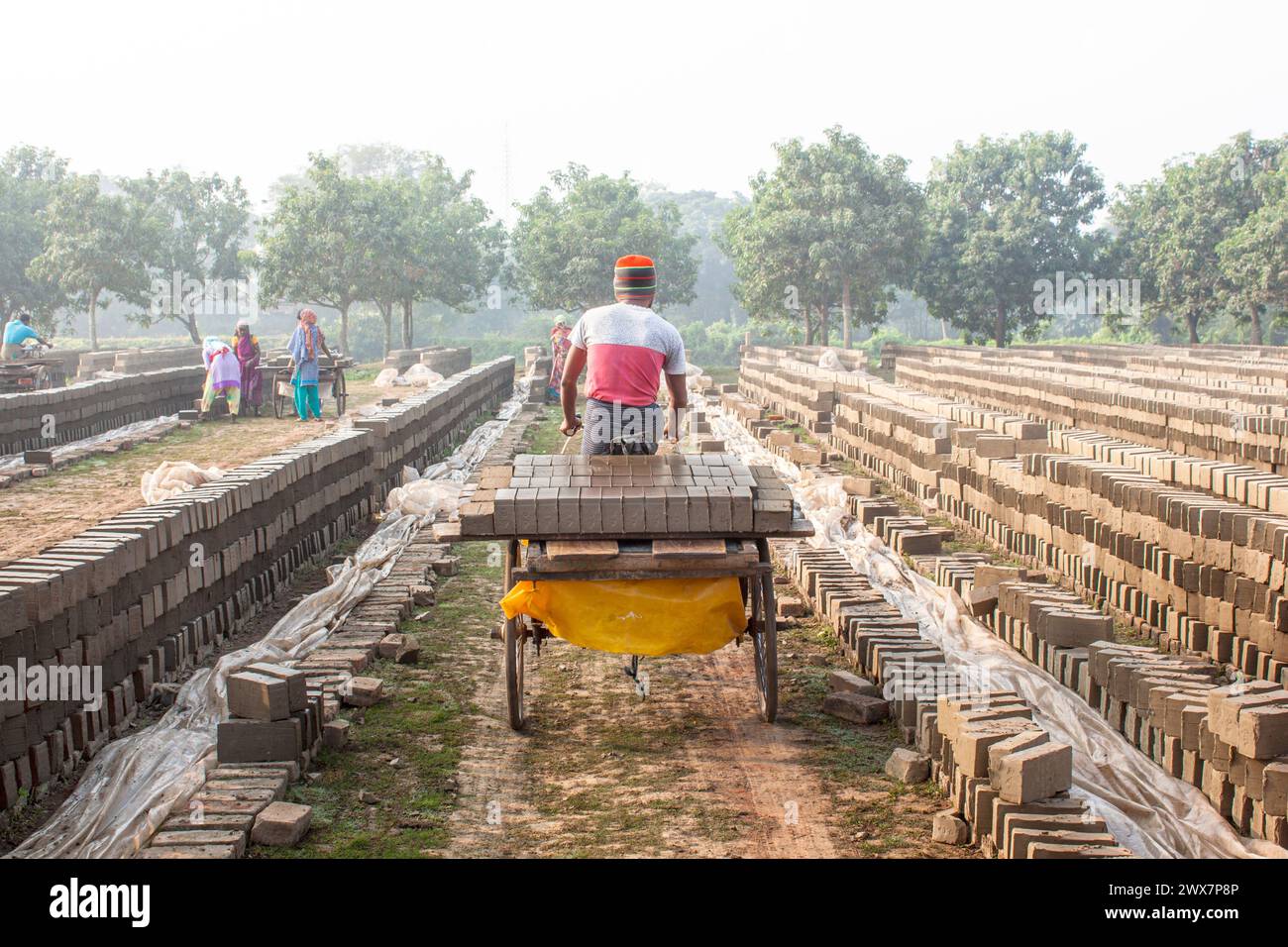 Un lavoratore porta mattoni a Brickfield a Khulna, in Bangladesh. Foto Stock