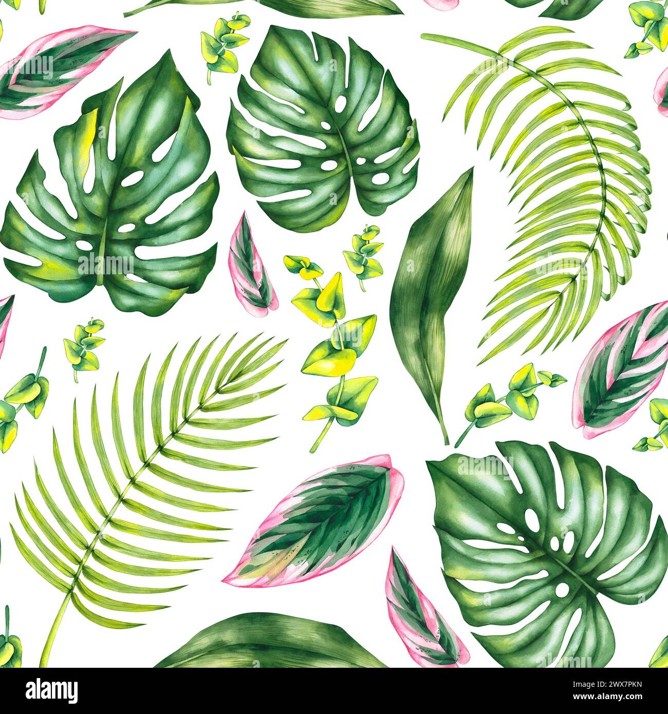 Acquerello in fiore con stromanta rosa Calathea e foglie tropicali di monstera, eucalipto e palma da dattero. Marinaio tropicale botanico Foto Stock