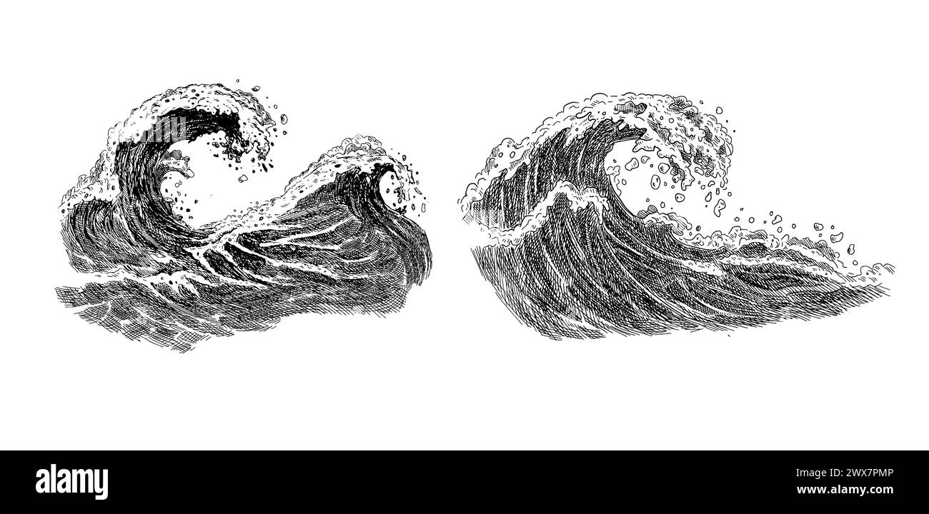 Schizzo delle onde marine. Onde di marea oceaniche disegnate a mano isolate su sfondo bianco per il surf e il paesaggio marino. Illustrazione vettoriale. Illustrazione Vettoriale