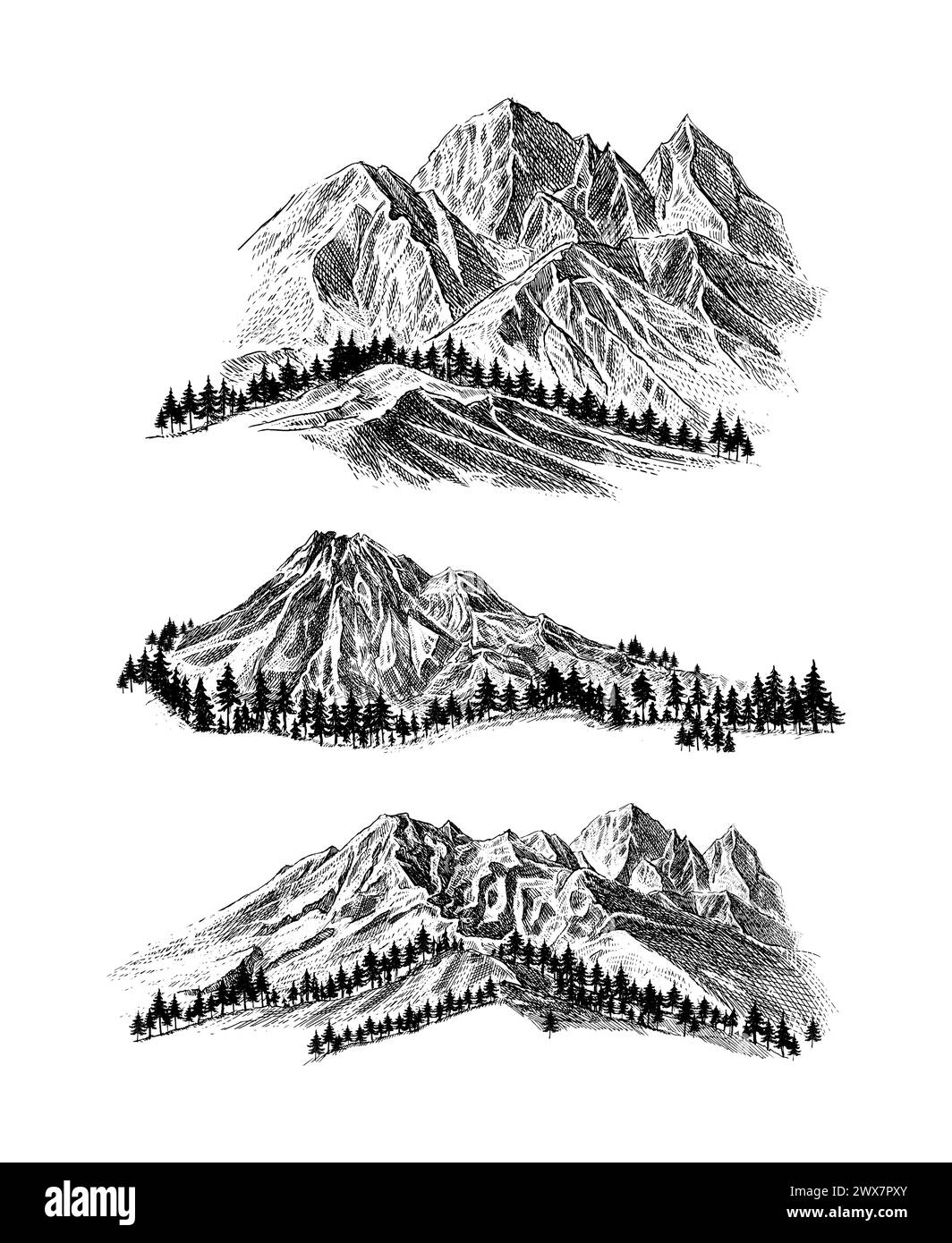 Montagna con pini e paesaggio nero su sfondo bianco. Picchi rocciosi disegnati a mano nello stile di schizzo. Illustrazione vettoriale. Illustrazione Vettoriale