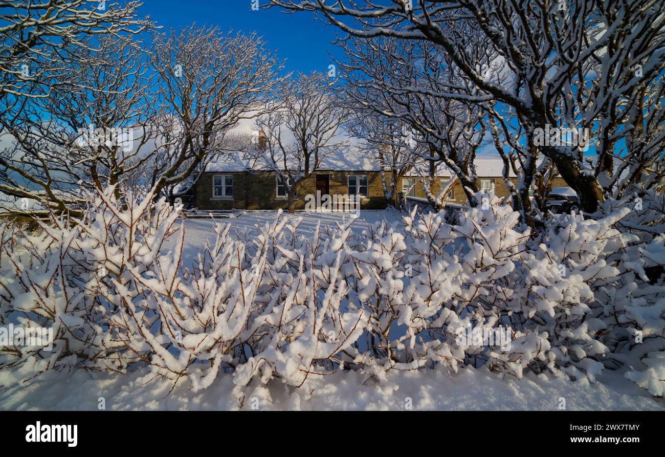 Cottage rurale dopo la nevicata, Isole Orcadi Foto Stock