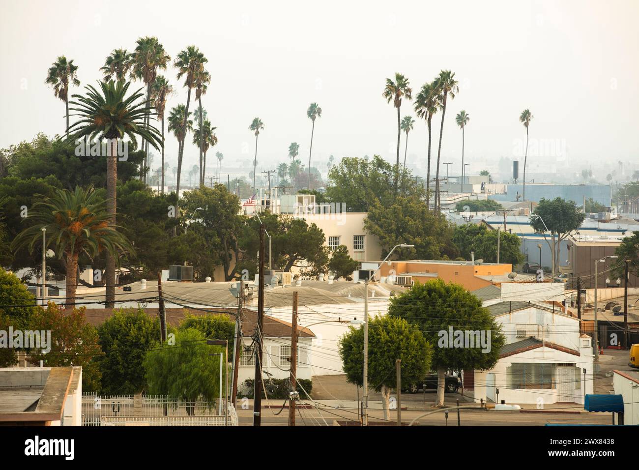 Le palme fanno da cornice al nucleo urbano del centro di Inglewood, California, Stati Uniti. Foto Stock
