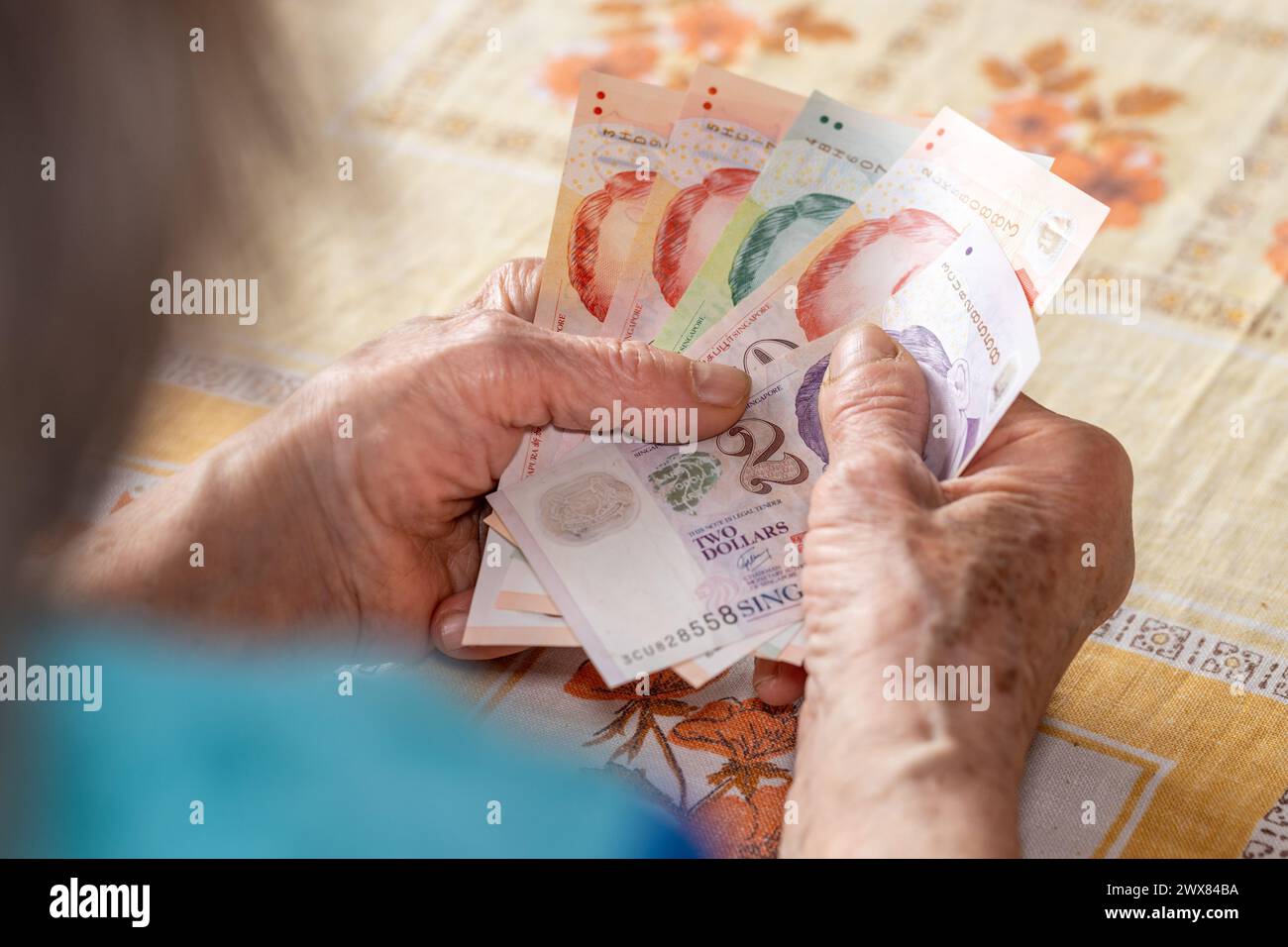 Bilancio familiare degli anziani a Singapore. Concetto economico, pensionato donna tiene in mano diversi dollari di Singapore, situazione finanziaria o Foto Stock