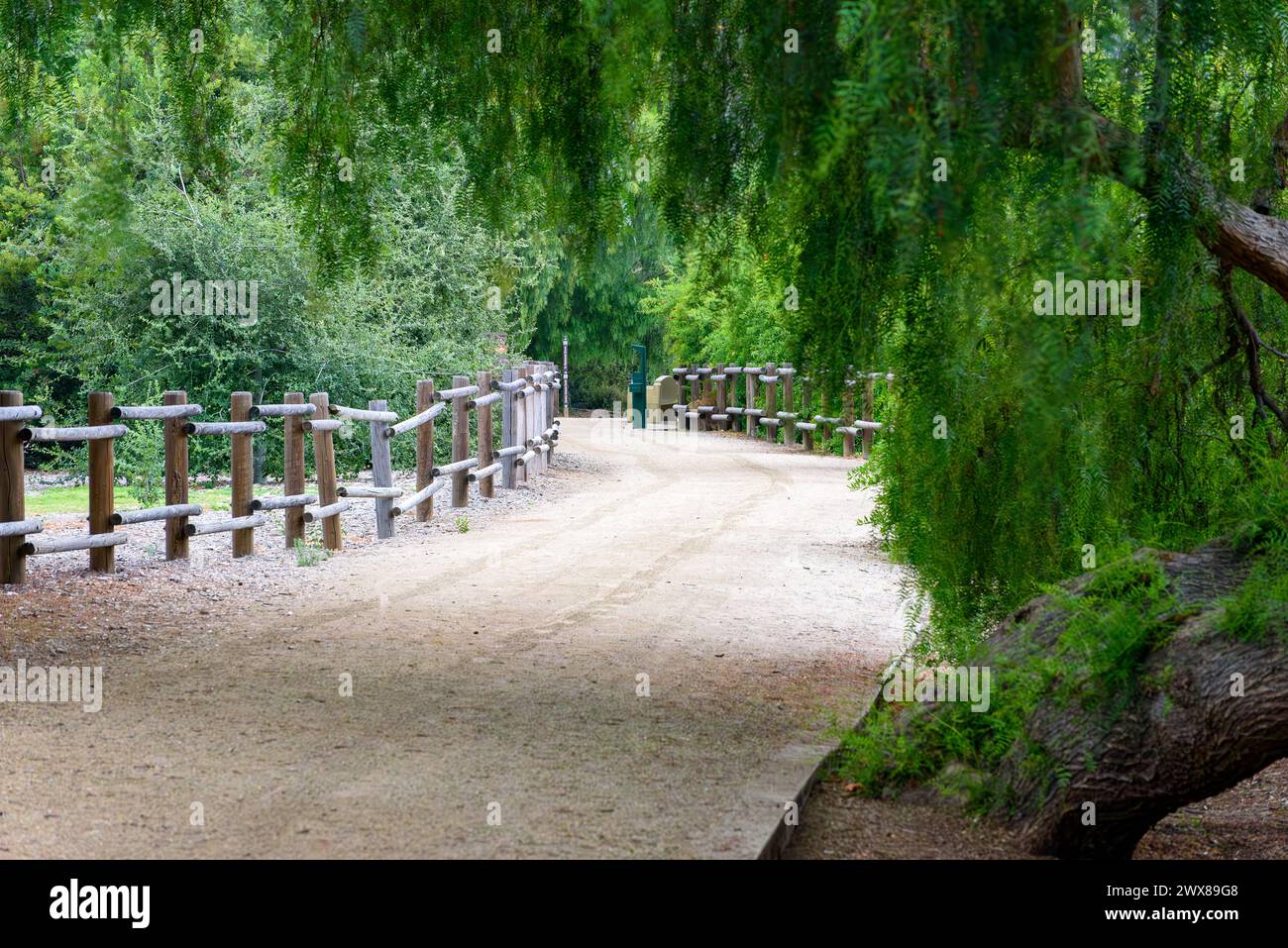 Una scena che mostra il sentiero con recinzione in legno al Carbon Canyon Regional Park di Brea, California. Credito: Erik Morgan Foto Stock