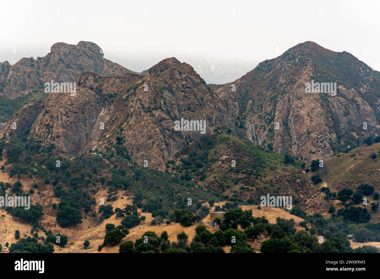 Un'immagine ravvicinata delle cime grigie e rocciose delle montagne, degli alberi verdi e dell'erba ai piedi del Malibu Creek State Park a Calabasas, California, nel Sud Foto Stock