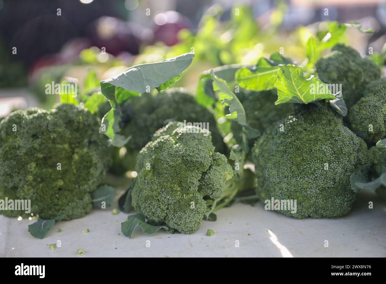 Broccoli al mercato agricolo Foto Stock