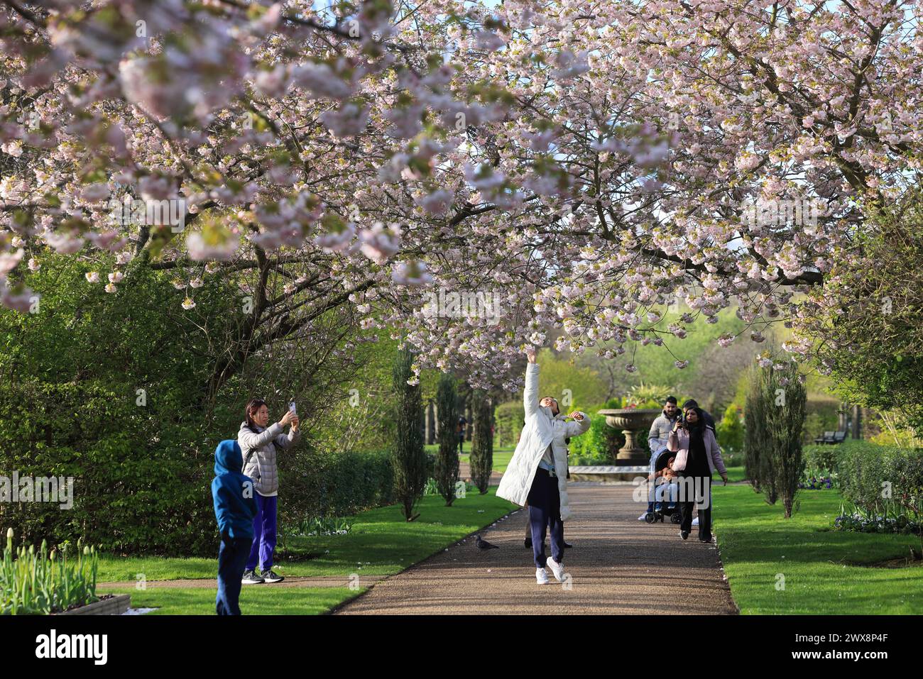 Fiori primaverili nel Regents Park, a Pasqua 2024, nonostante il tempo instabile, a Londra, Regno Unito Foto Stock