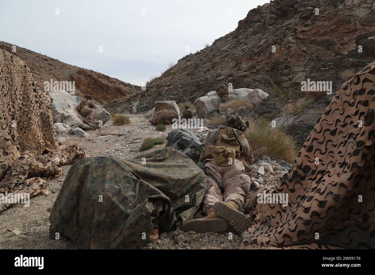 U.S. Marines assegnati al 3rd Battalion, 4th Marine Regiment, 1st Marine Division che supporta la 1st Armored Division scansionano il bersaglio nemico durante la rotazione 24-03 al National Training Center, Fort Irwin, California, 19 novembre 2024. (Foto dell'esercito degli Stati Uniti di staff Sgt. Michael Mulderick, Operations Group, National Training Center) Foto Stock