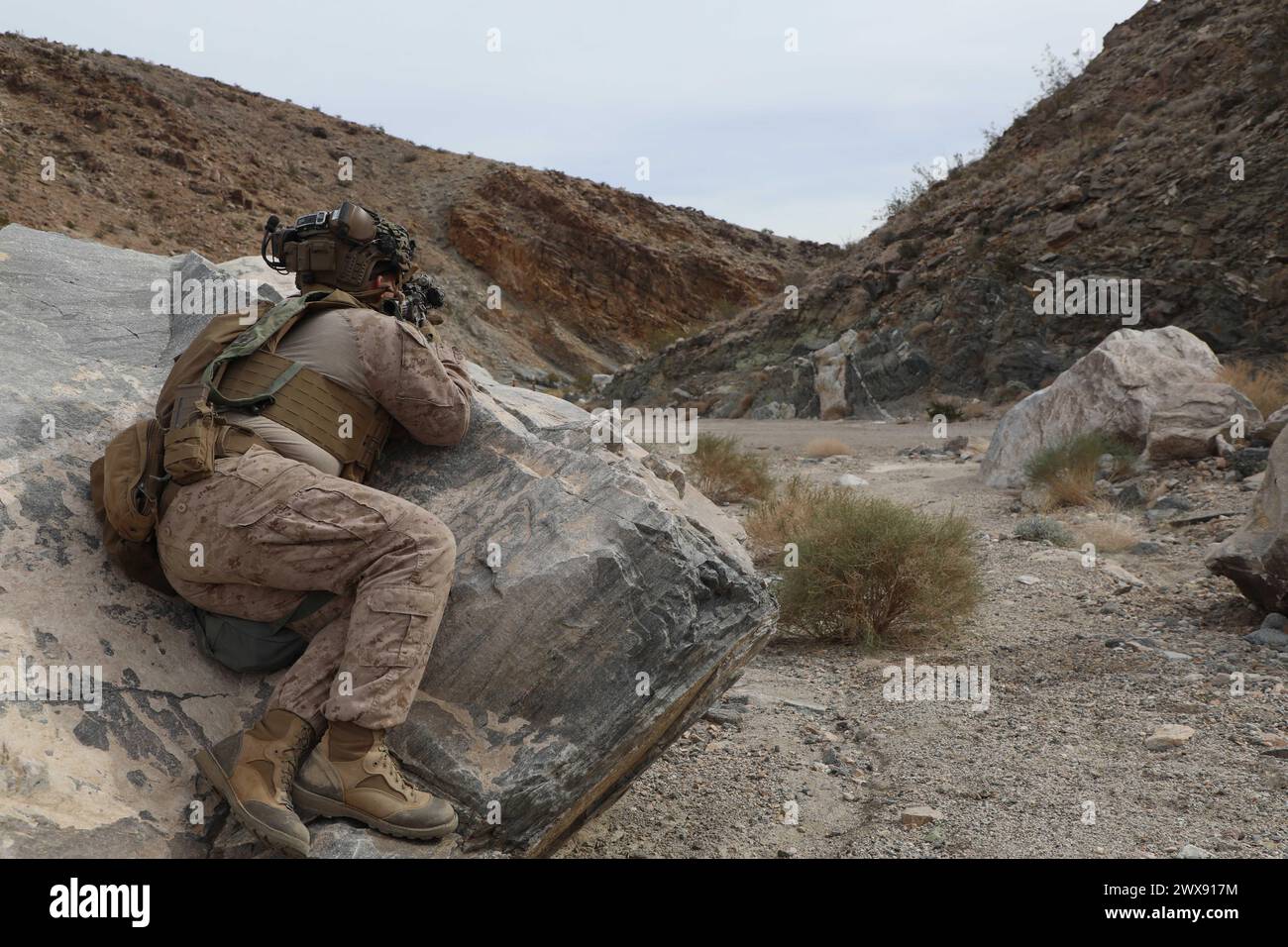 U.S. Marines assegnati al 3rd Battalion, 4th Marine Regiment, 1st Marine Division che supporta la 1st Armored Division scansionano il bersaglio nemico durante la rotazione 24-03 al National Training Center, Fort Irwin, California, 19 novembre 2024. (Foto dell'esercito degli Stati Uniti di staff Sgt. Michael Mulderick, Operations Group, National Training Center) Foto Stock