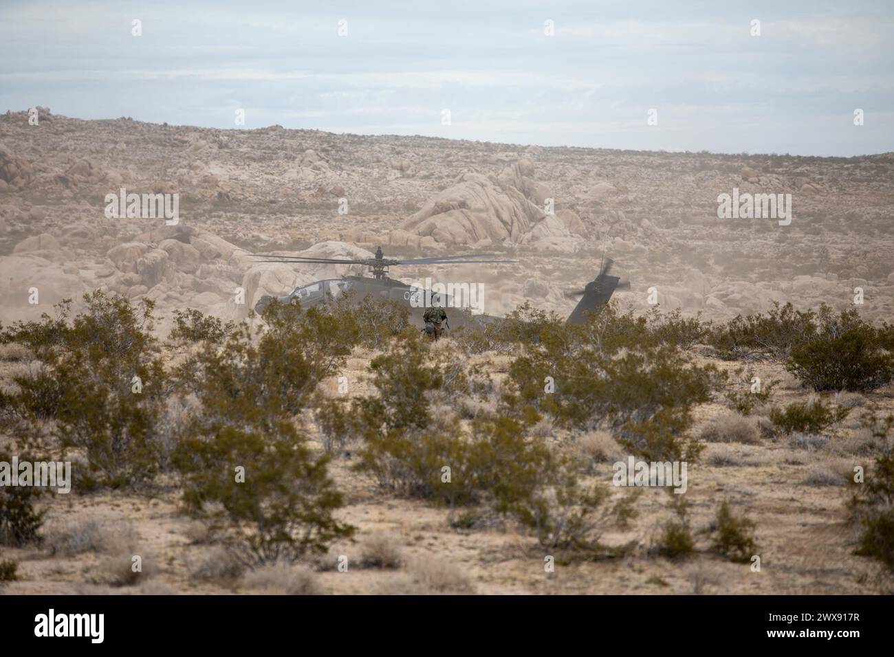 I piloti degli Stati Uniti assegnati al 3rd Squadron, 6th Air Cavalry di supporto alla 1st Combat Aviation Brigade, 1st Armored Division si preparano al decollo durante la rotazione 24-03 presso il National Training Center, Fort Irwin, California, 20 gennaio 2024. (Foto U.S. Army di SPC. Jeffrey Garland, Operations Group, National Training Center) Foto Stock