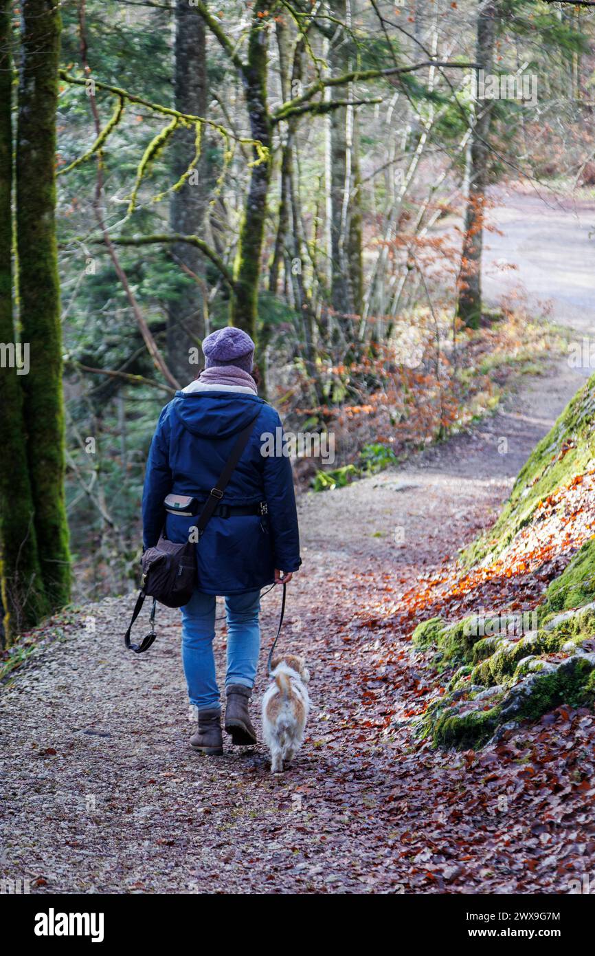 Donna che cammina nel bosco con il suo cane Foto Stock