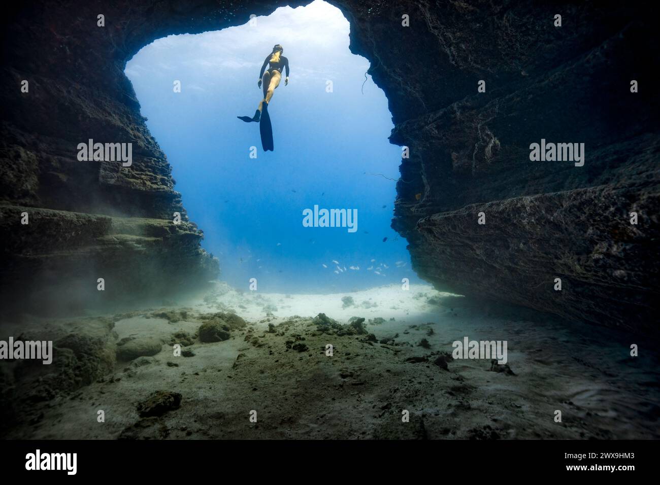 Una giovane femmina che si tuffa liberamente in una porta di una grotta nelle limpide acque blu delle Hawaii incorniciate da pareti ombrose della grotta. Rilascio modelli disponibile Foto Stock