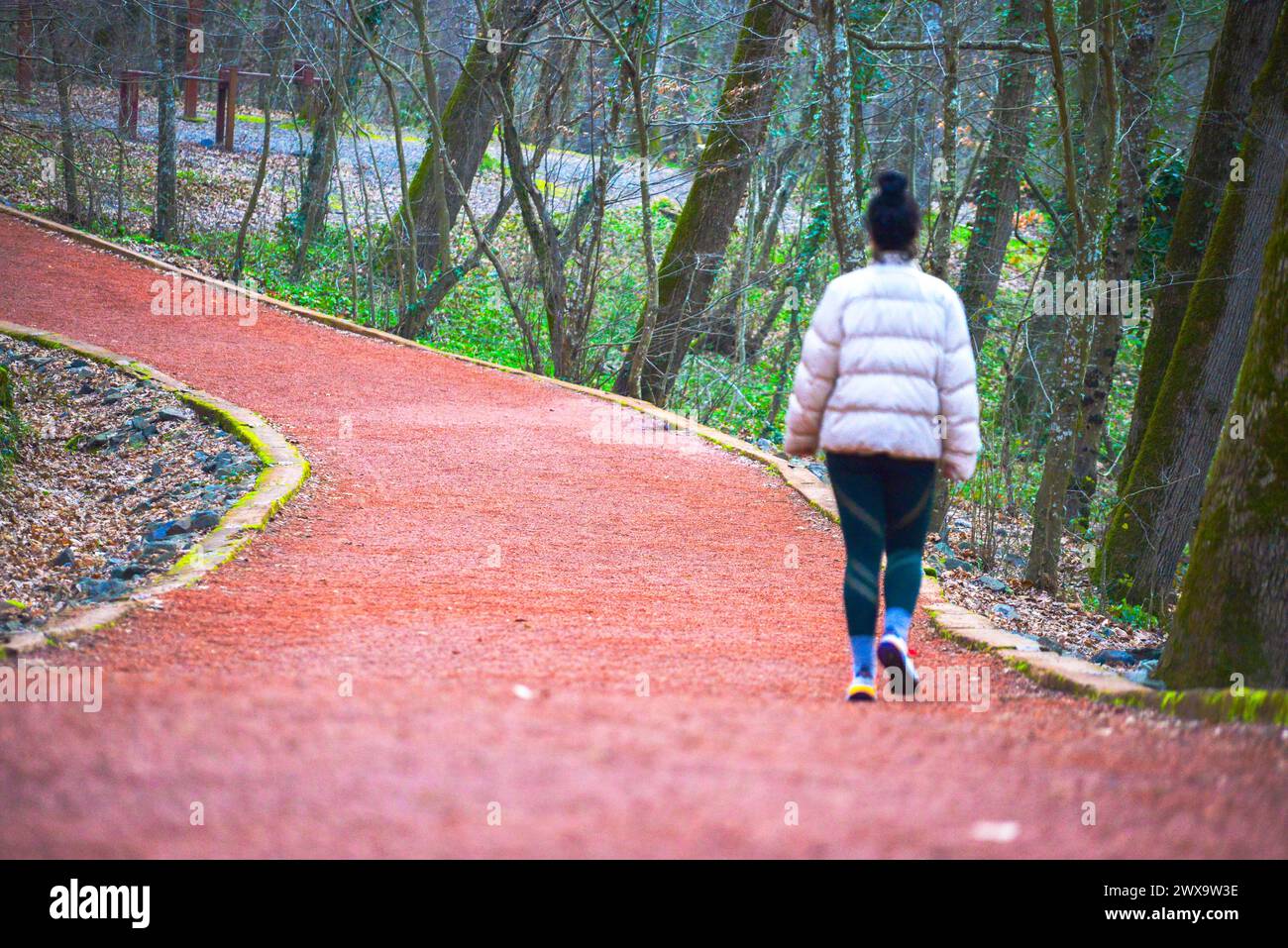 Una donna che si allunga e corre sulla strada forestale, abbracciando l'ambiente naturale per la sua routine di allenamento. Foto Stock