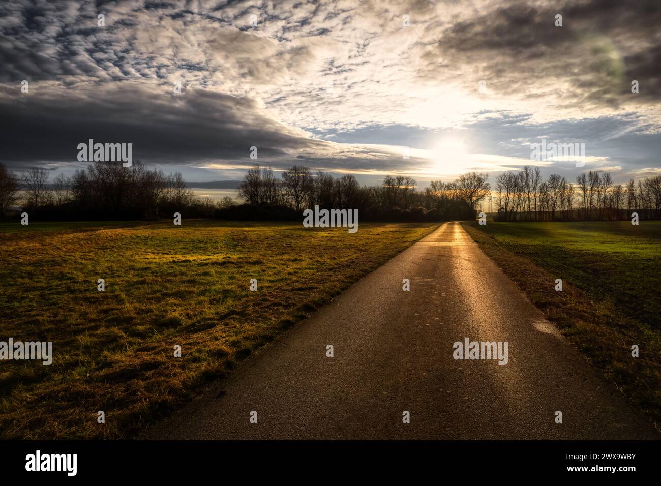 Strasse Sonnenaufgang Lichtstimmung Sonne Foto Stock