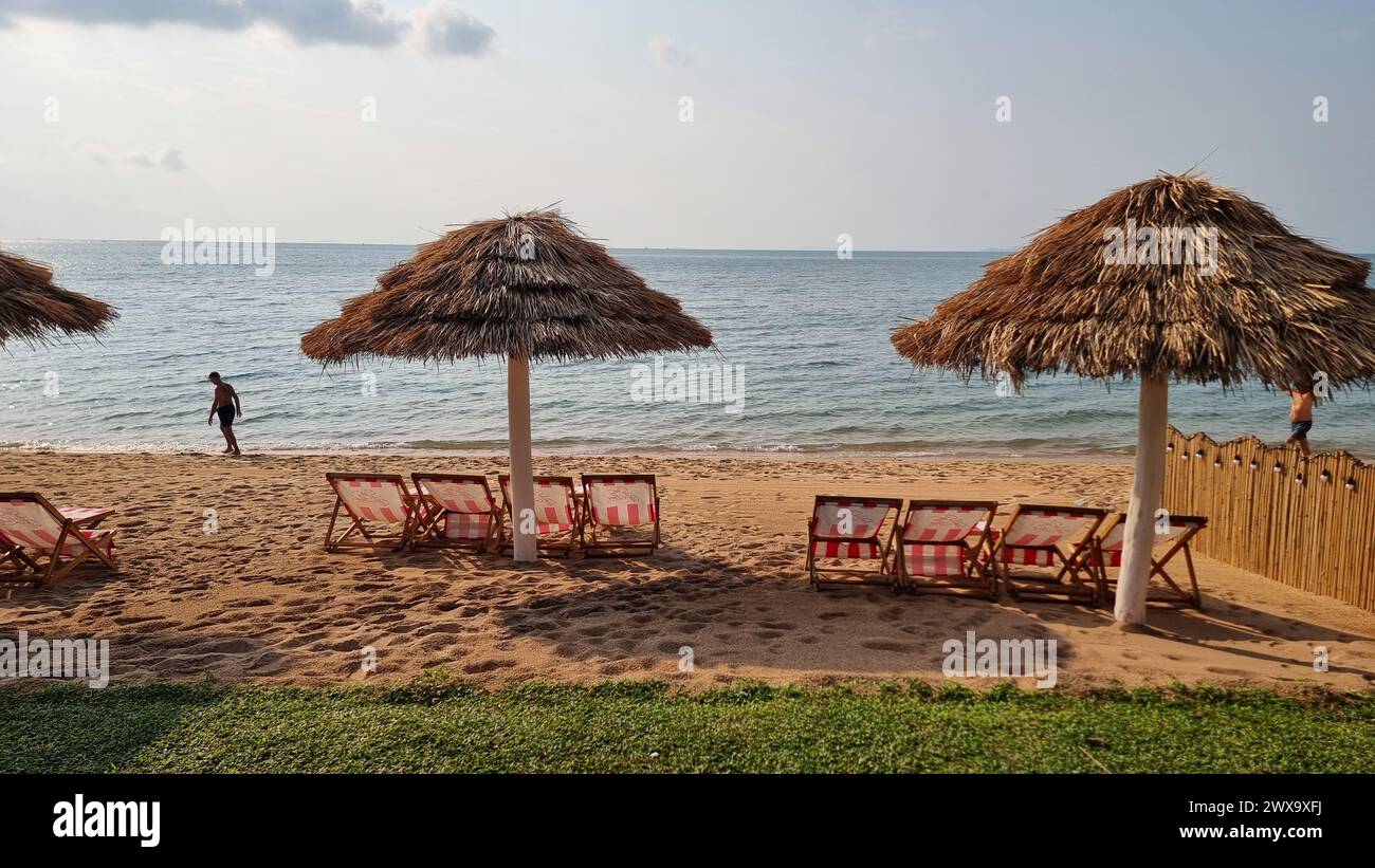 Bangsaray Pattaya Thailandia 28 febbraio 2024, sedie e ombrelloni adornano una tranquilla spiaggia vicino all'oceano, invitante relax e godimento delle viste panoramiche della costa. Foto Stock