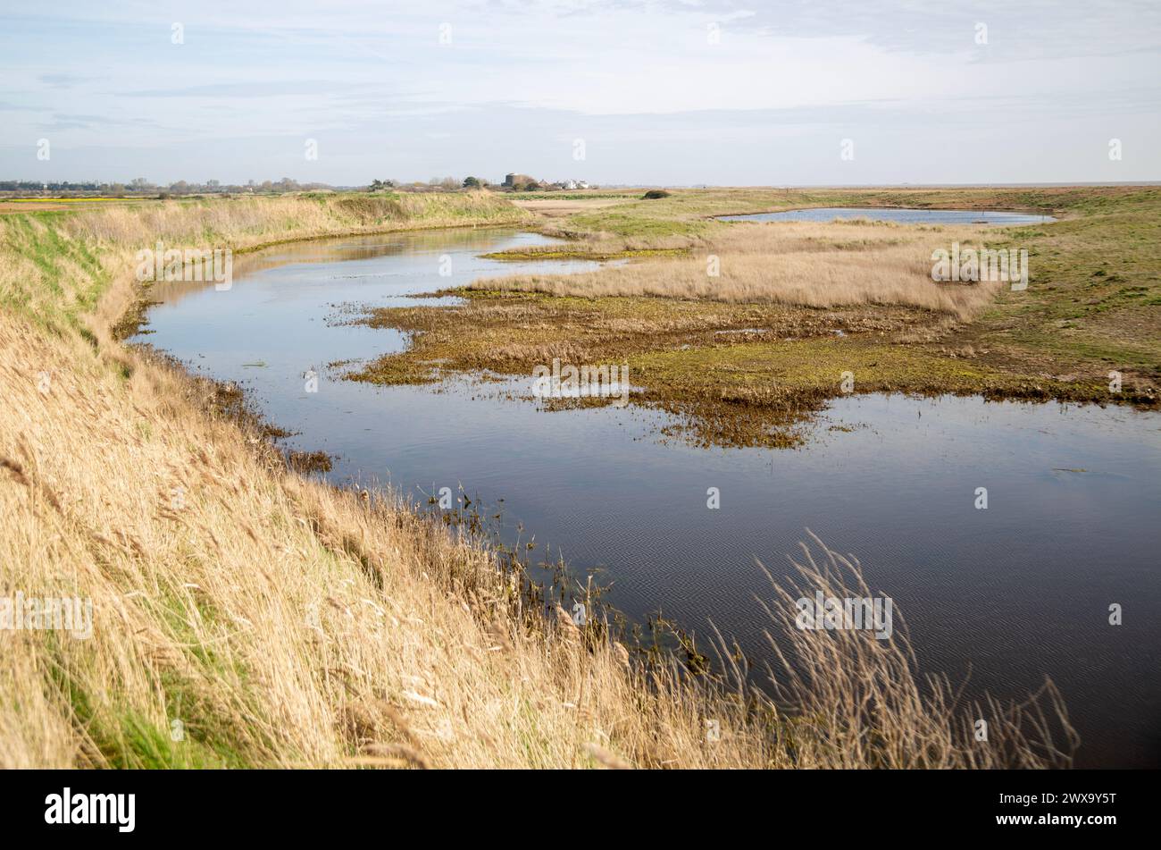 Acqua lagunare in una spiaggia di ciottoli, Hollesley Bay, vicino a Shingle Street, Suffolk, Inghilterra, Regno Unito Foto Stock