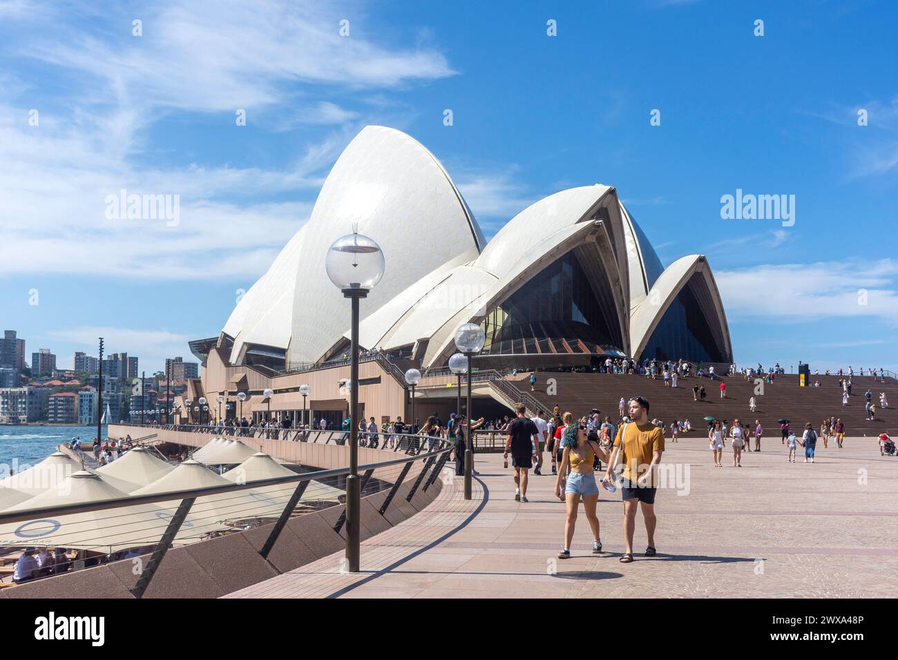 Sydney Opera House su Bennelong Point, Sydney Harbour , Sydney, New South Wales, Australia Foto Stock