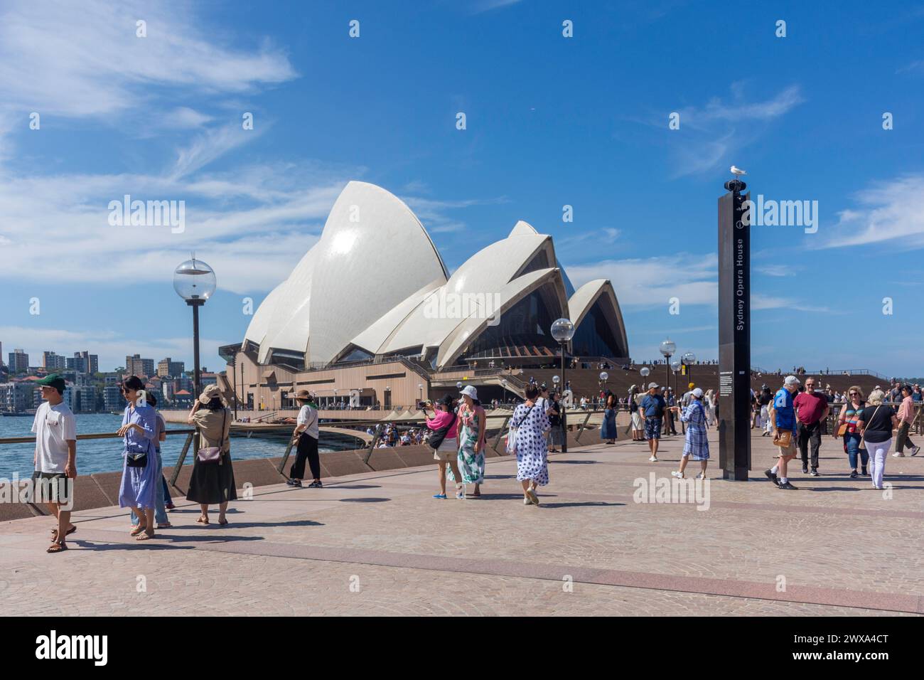 Sydney Opera House su Bennelong Point, Sydney Harbour , Sydney, New South Wales, Australia Foto Stock