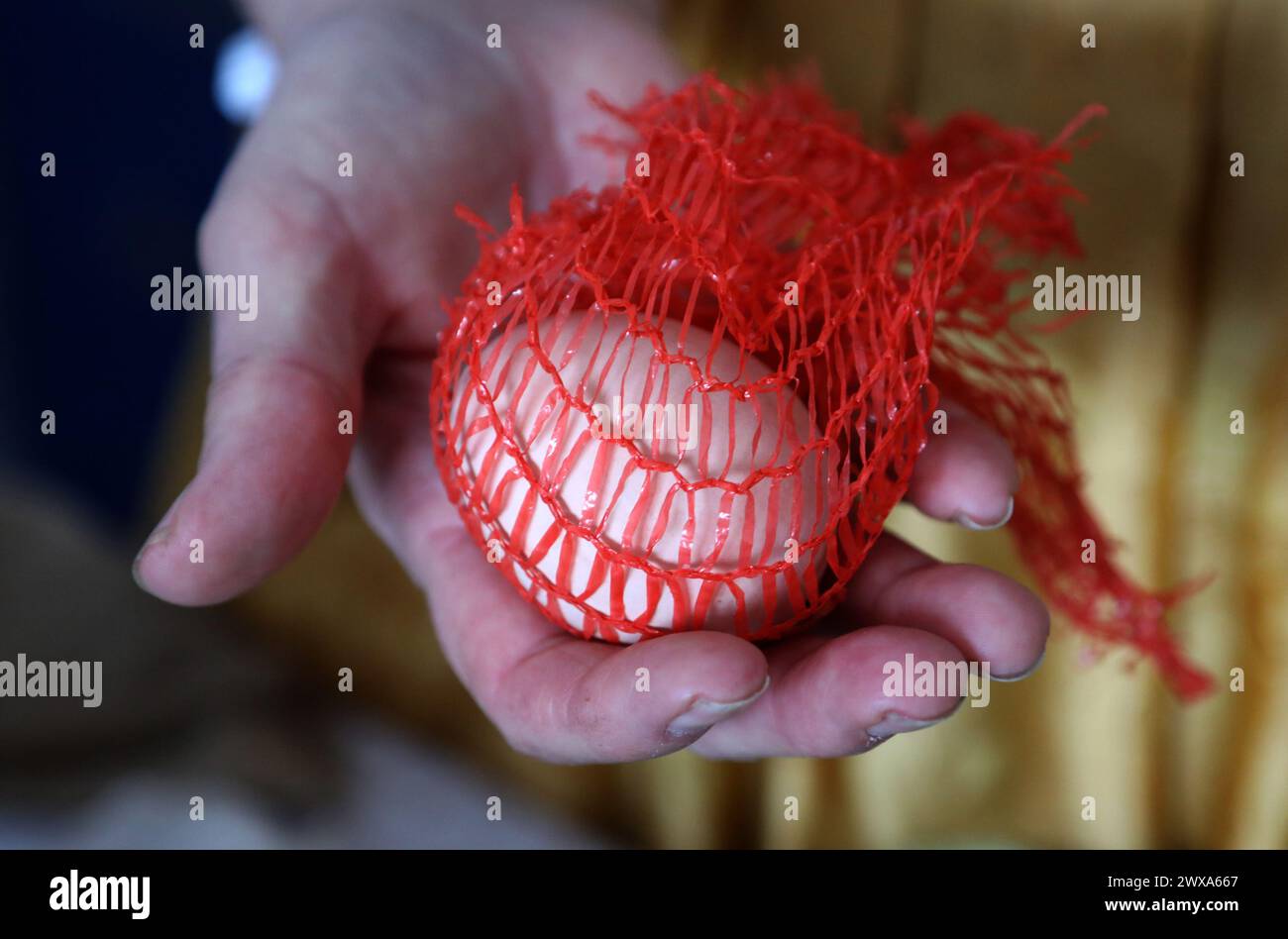 Sibenik, Croazia. 4 luglio 2022. Decorare le uova di Pasqua in modo tradizionale a Brodarica e nell'isola di Krapanj, Croazia. In precedenza non era possibile acquistare vernice per decorare le uova, così la gente, usando vari fiori, frutta e verdura, si è fatta la vernice da sola. Poi portarono le uova decorate alla Benedizione di Pasqua e le servirono sul tavolo pasquale. Il 28 marzo 2024. Foto: Dusko Jaramaz/PIXSELL credito: Pixsell/Alamy Live News Foto Stock