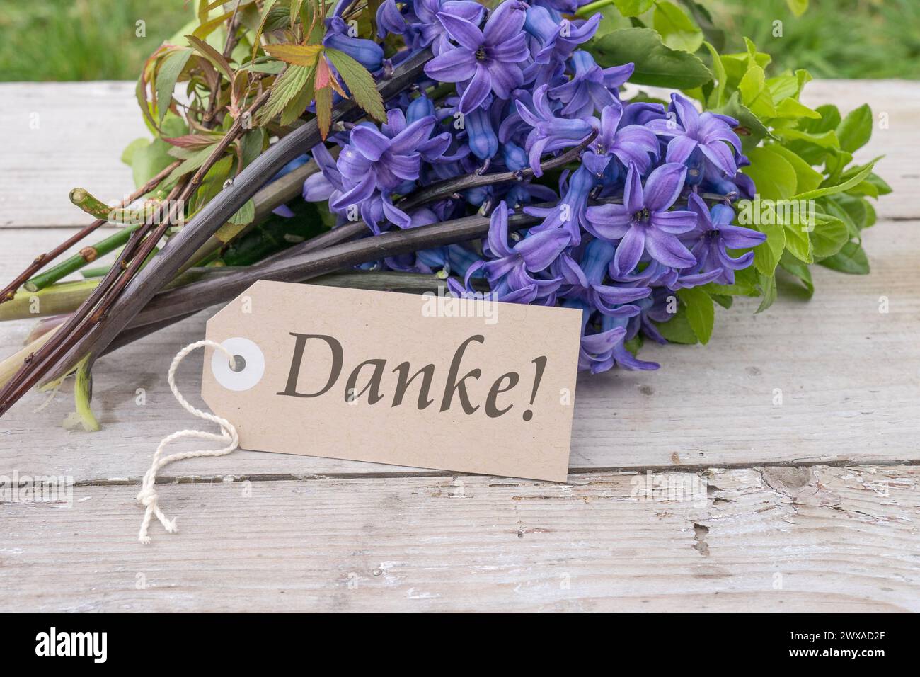 Bouquet di giacinti blu e biglietto con testo tedesco: Grazie Foto Stock