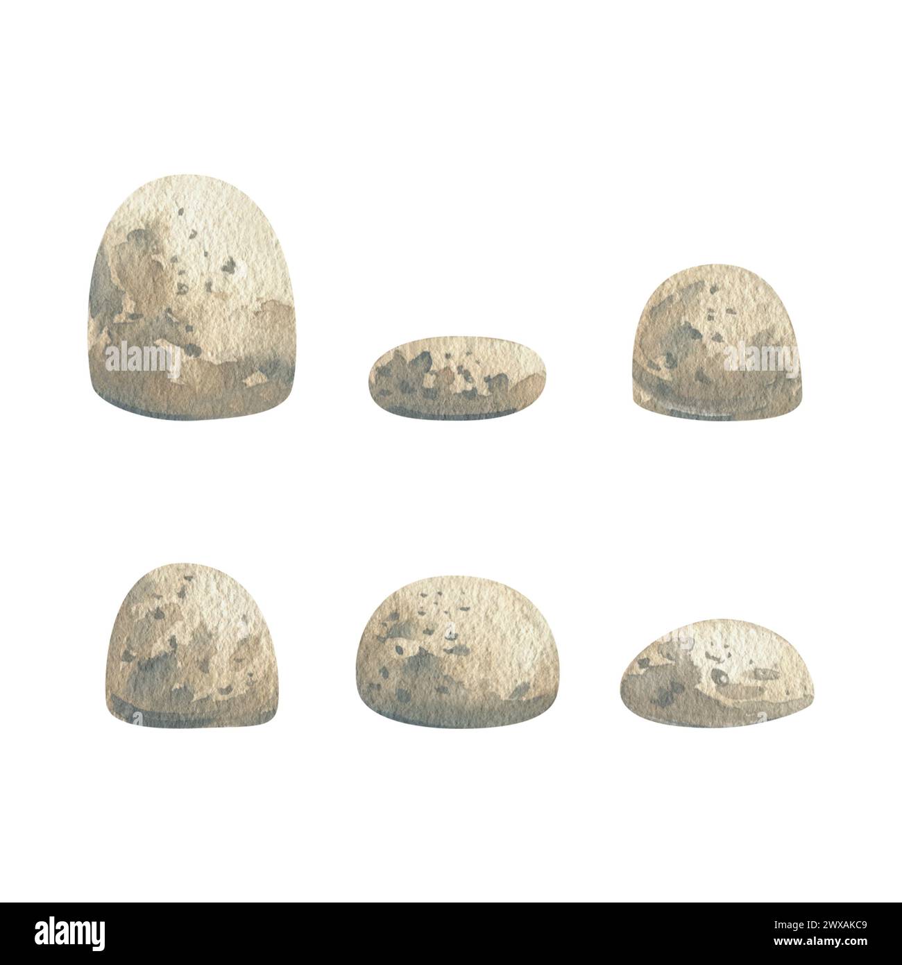 Mare, fiume, ciottoli di lago nei colori turchese, beige e marrone. Illustrazione ad acquerello disegnata a mano. Animali marini, mondo sottomarino, pesce. Set di Foto Stock