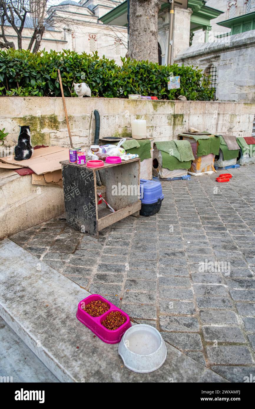 Una linea di case per gatti temporanee e cibo per gatti randagi a Istanbul, Turchia, città dei gatti Foto Stock