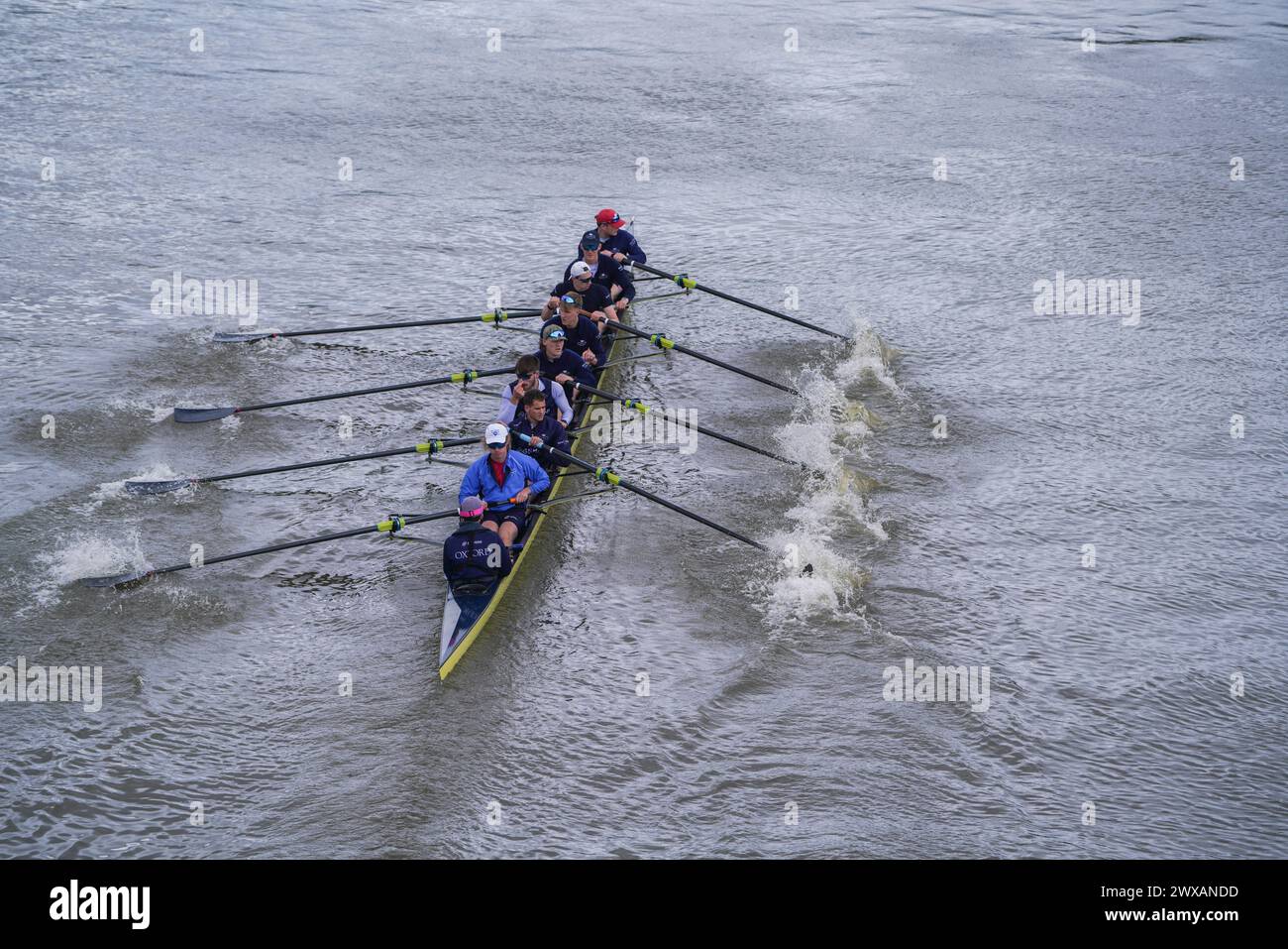 Putney, Londra 29 marzo 2024. La squadra di canottaggio maschile dell'Università di Oxford durante una sessione di addestramento di oggi sul Tamigi. Alti livelli di E.coli sono stati trovati nel fiume Tamigi di Londra secondo il gruppo di campagna ambientale River Action davanti alla tradizionale corsa in barca dell'università di Oxford Cambridge sabato 30 marzo. Crediti: amer ghazzal/Alamy Live News Foto Stock