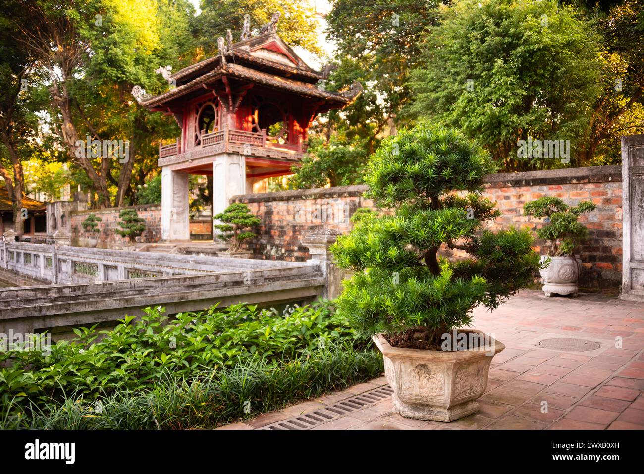 Edificio asiatico con tradizionale albero di bonsai ad Hanoi Vietnam Foto Stock