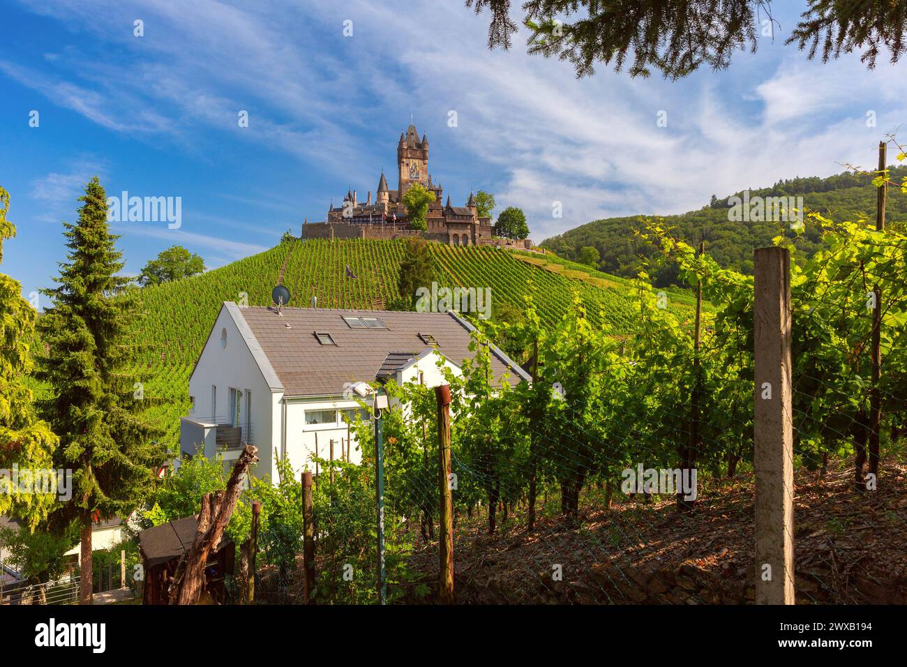 Panorama del castello di Reichsburg e dei vigneti di Cochem, splendida cittadina sul fiume Mosella, Germania Foto Stock